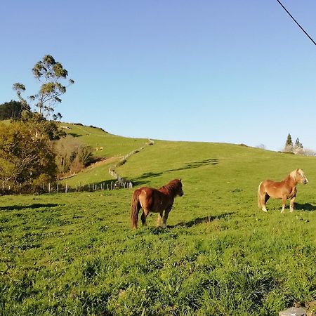 Agroturismo Pagoederraga Orio Dış mekan fotoğraf