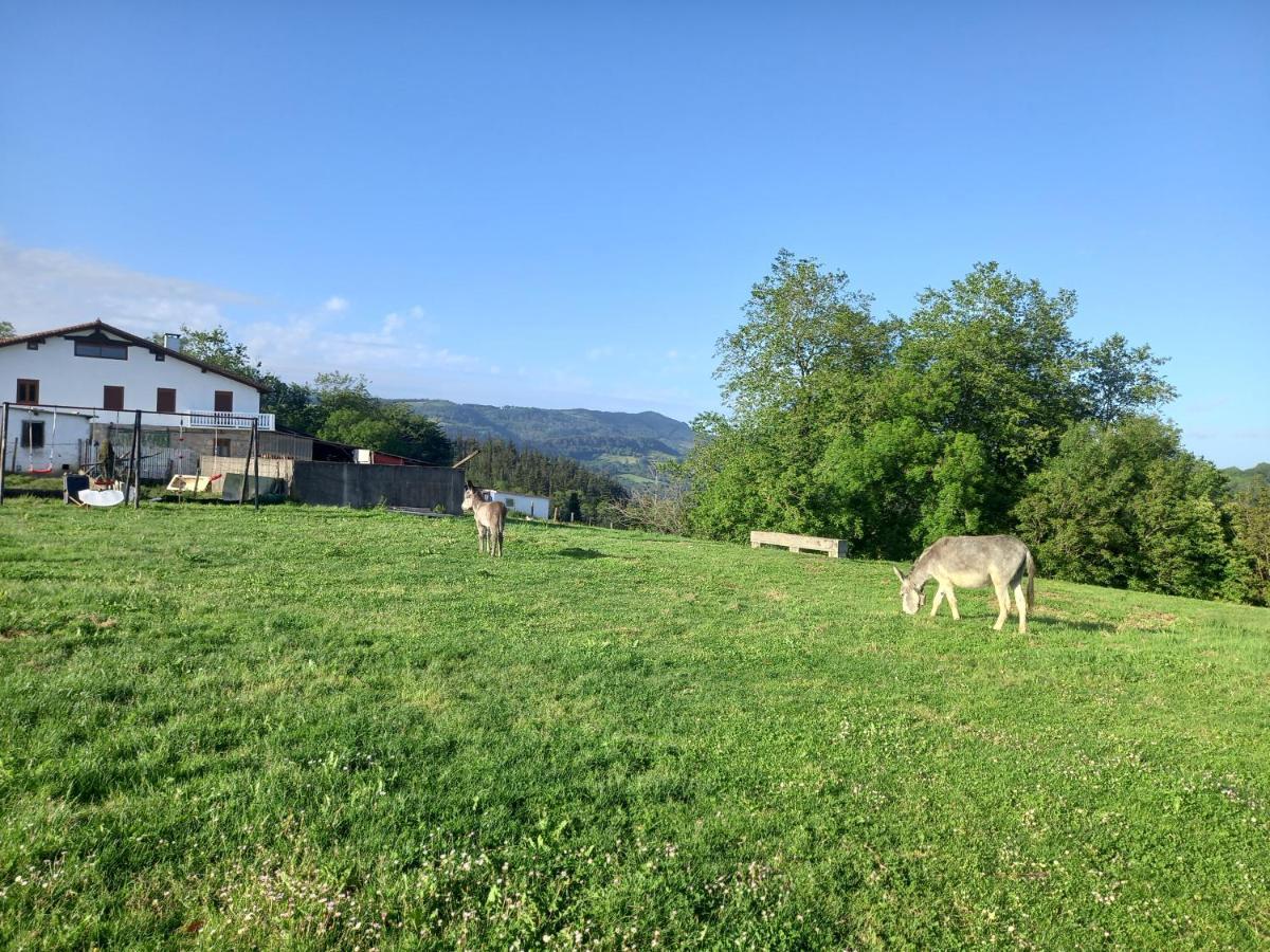 Agroturismo Pagoederraga Orio Dış mekan fotoğraf