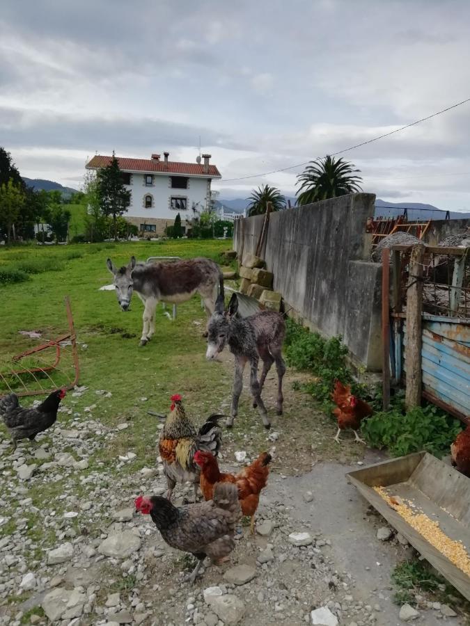 Agroturismo Pagoederraga Orio Dış mekan fotoğraf