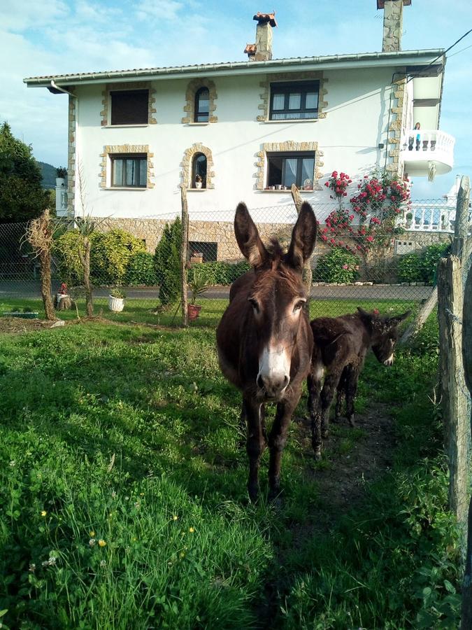 Agroturismo Pagoederraga Orio Dış mekan fotoğraf
