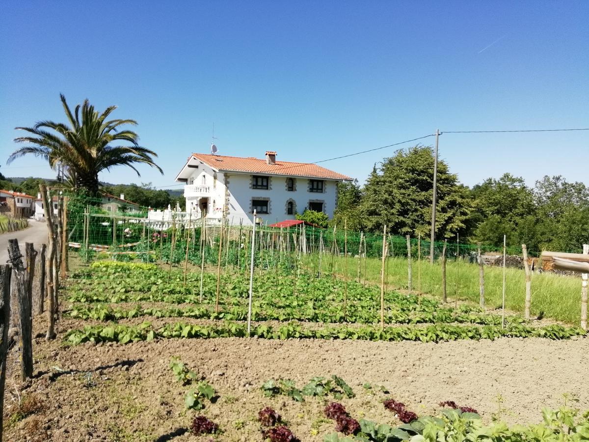 Agroturismo Pagoederraga Orio Dış mekan fotoğraf