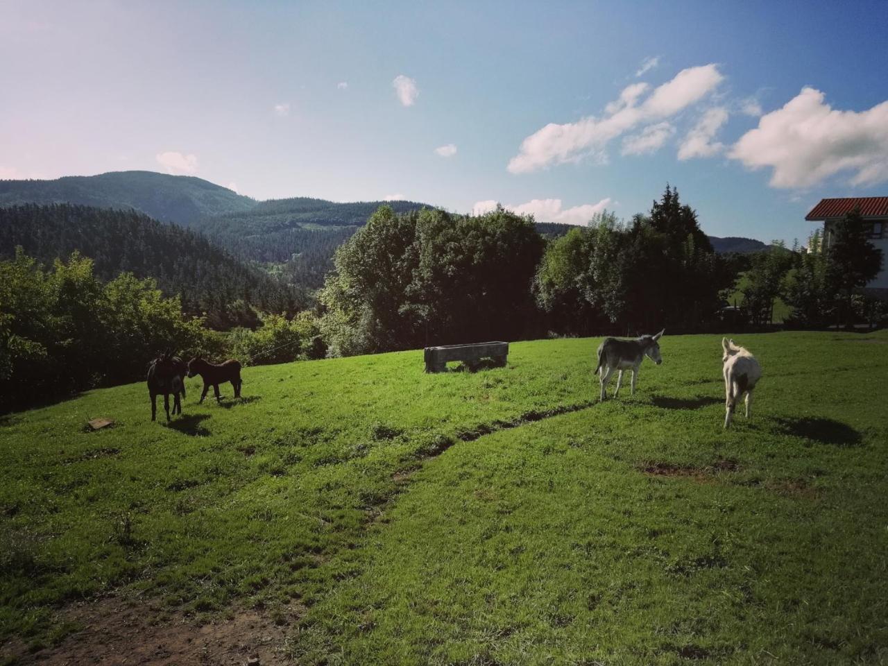 Agroturismo Pagoederraga Orio Dış mekan fotoğraf
