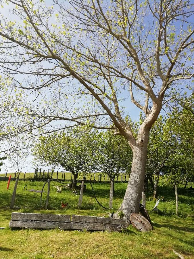 Agroturismo Pagoederraga Orio Dış mekan fotoğraf
