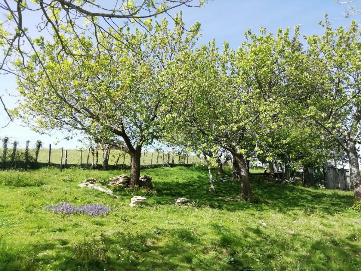Agroturismo Pagoederraga Orio Dış mekan fotoğraf