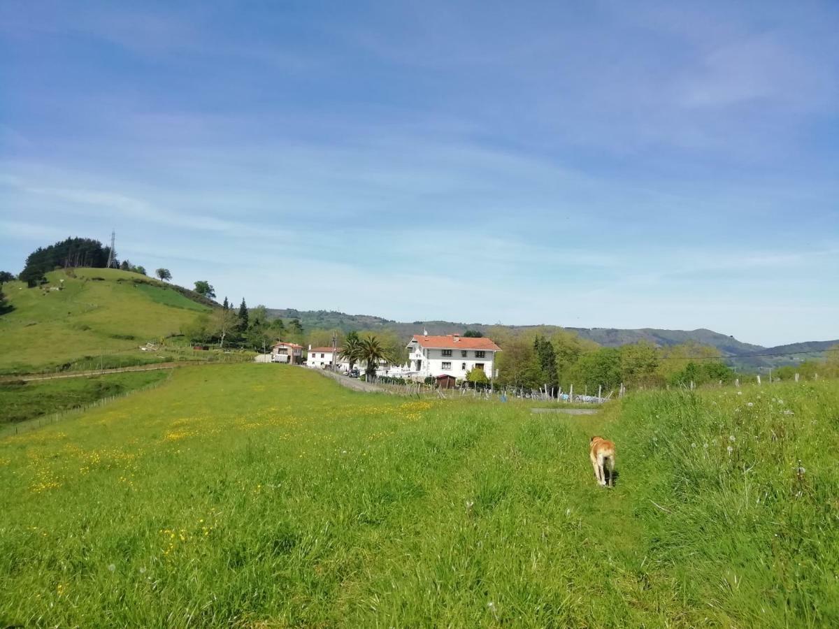Agroturismo Pagoederraga Orio Dış mekan fotoğraf